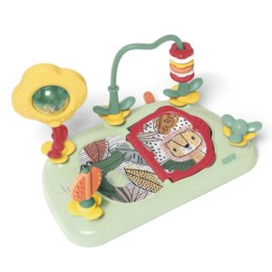Universal Baby Play Tray Insert with Interactive Activity Features